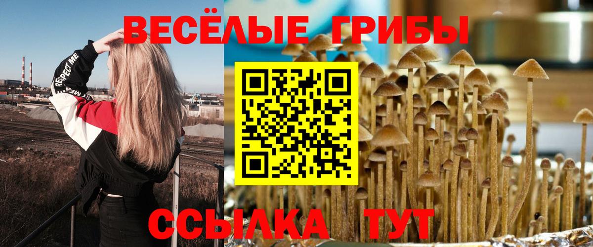 наркошоп  Галлюциногенные грибы GOLDEN TEACHER  Вход с VPN  Соль-Илецк 